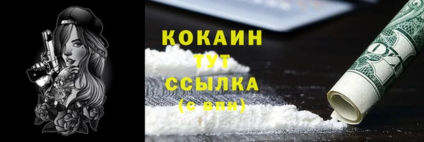 spice Алзамай