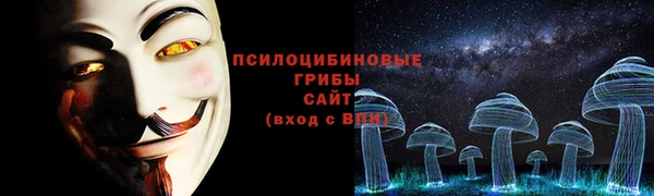 spice Алзамай